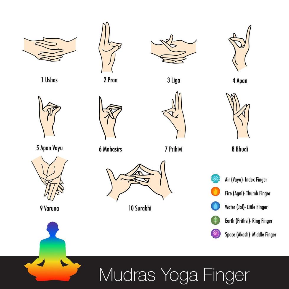 A mudra can be a simple hand position or it can encompass the entire body in a combination vector