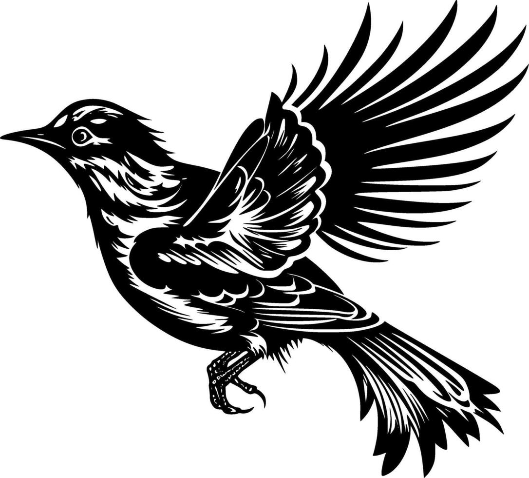 pájaro, negro y blanco vector ilustración