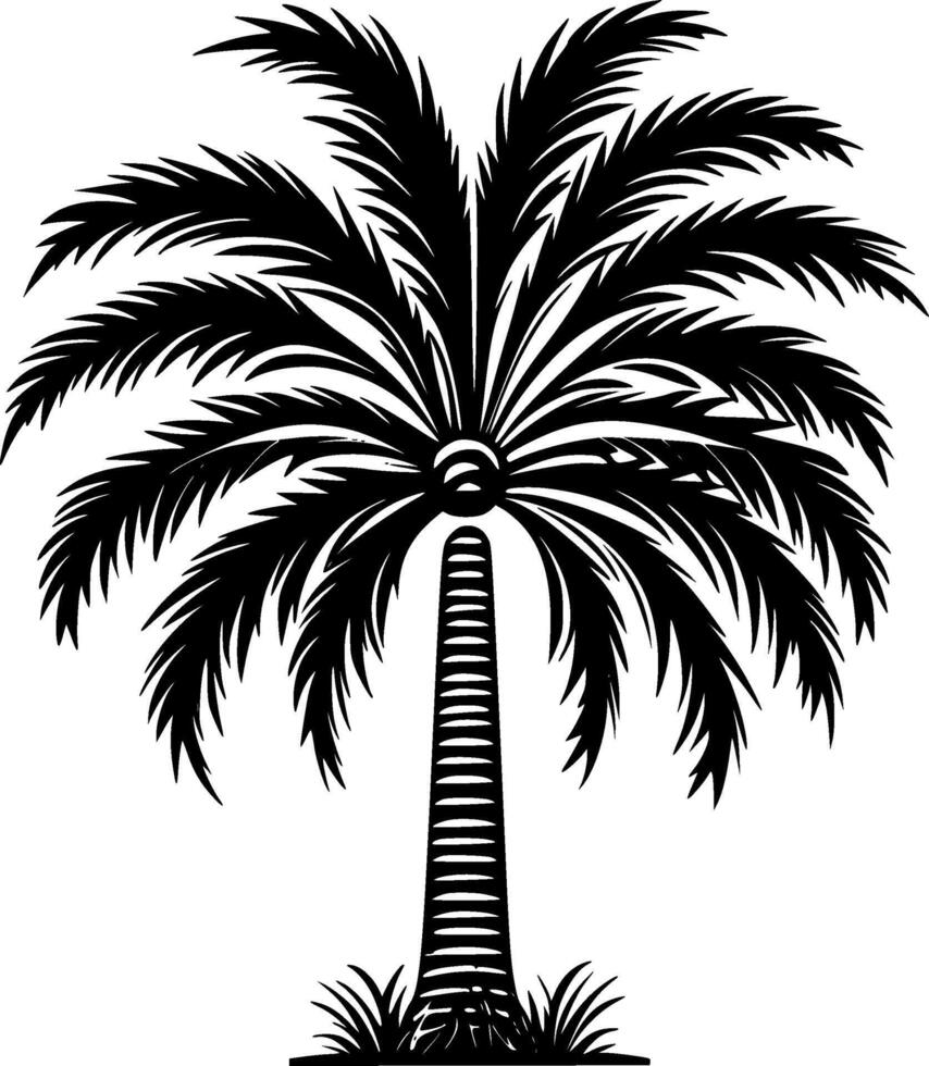 Palm, Black and White Vector illustration