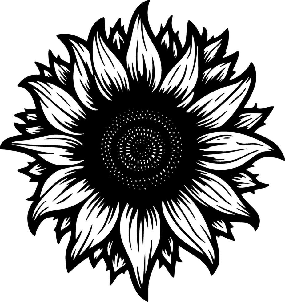 Sunflower, Black and White Vector illustration