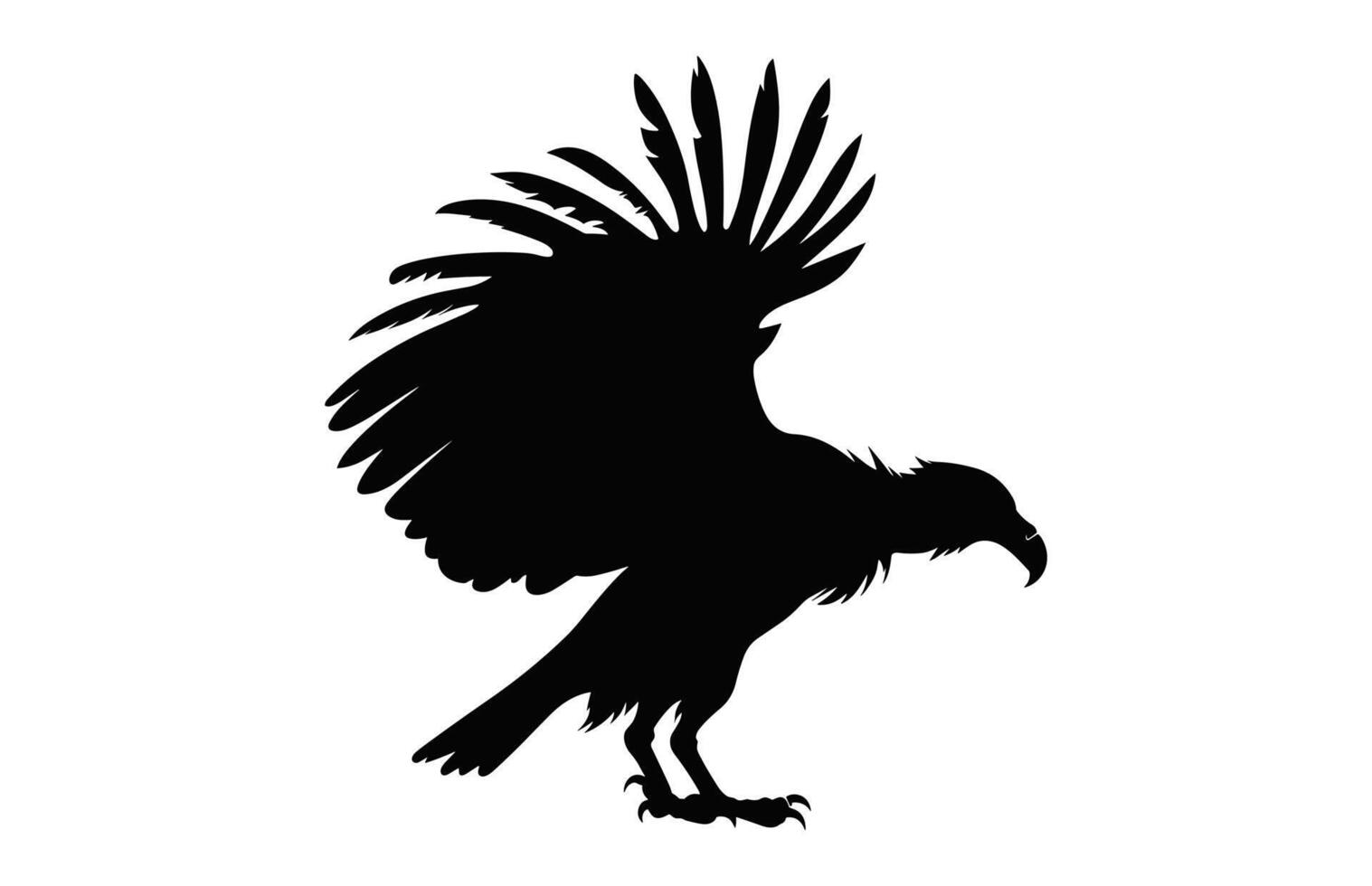 Flying Griffon Vulture Beak black vector, Big Griffon Vulture silhouette isolated on a white background vector