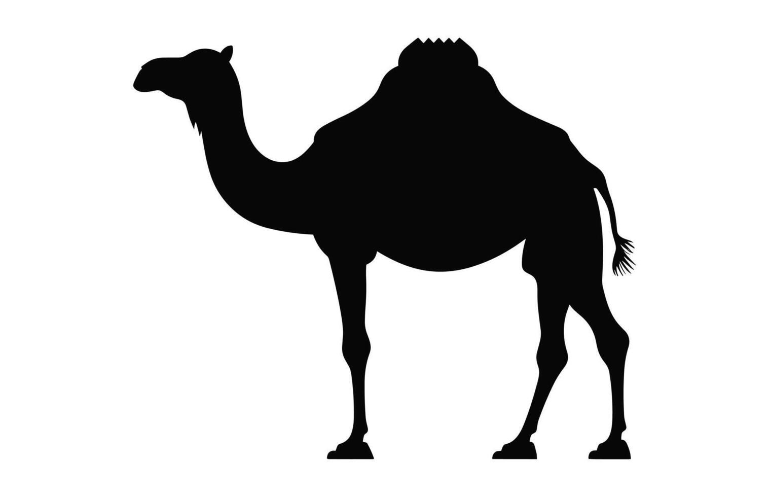 Camel Silhouette black vector isolated on a white background