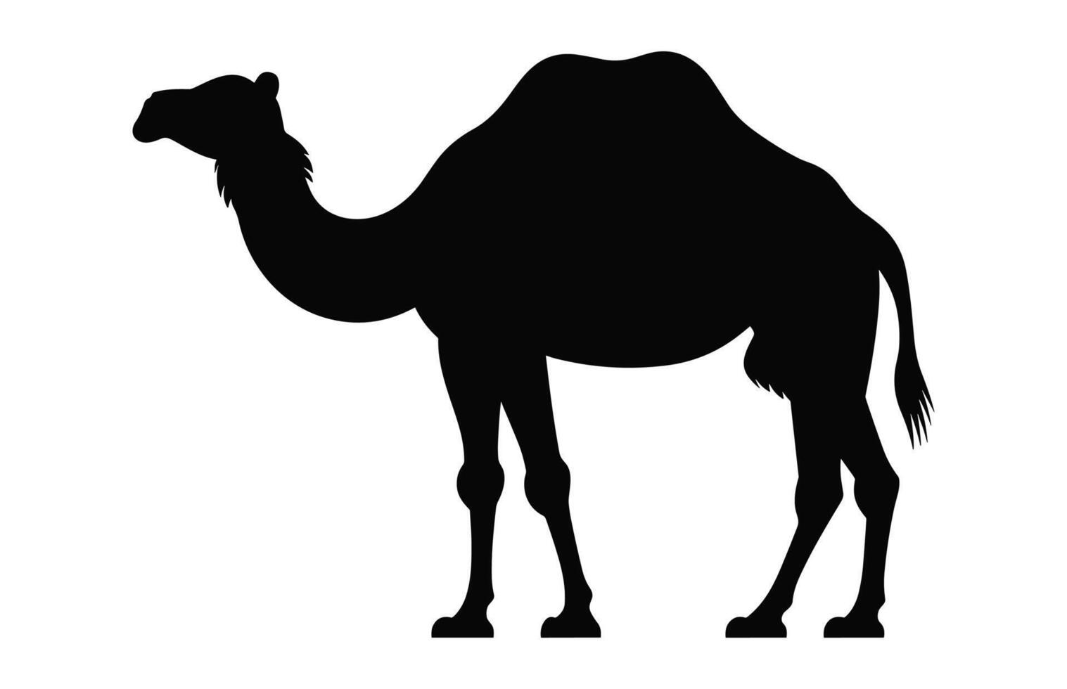 Camel Silhouette vector black clipart isolated on a white background
