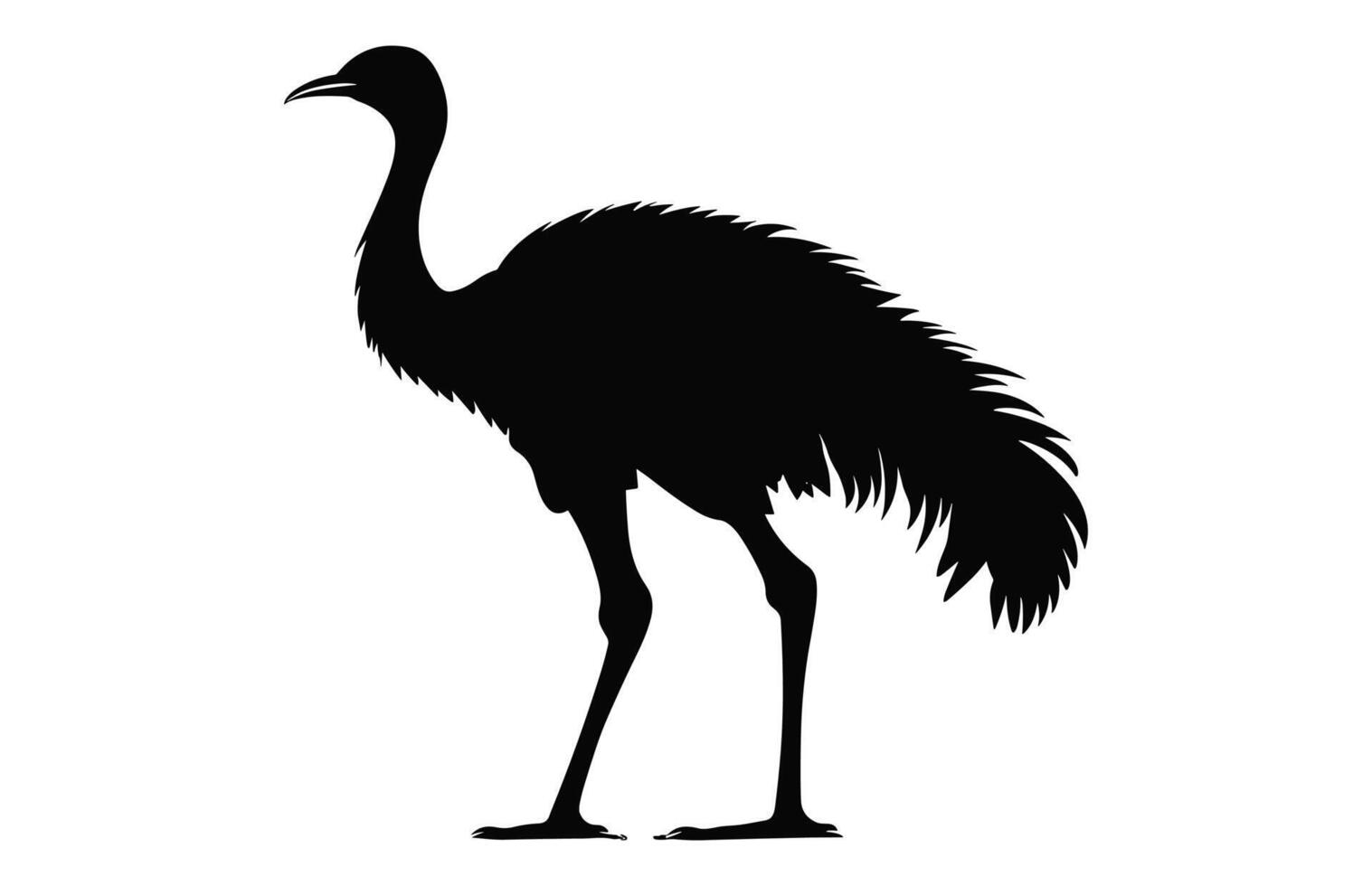 Emu Silhouette isolated on a white background, A Ostrich emu black silhouette, Australian Emu Bird Vector