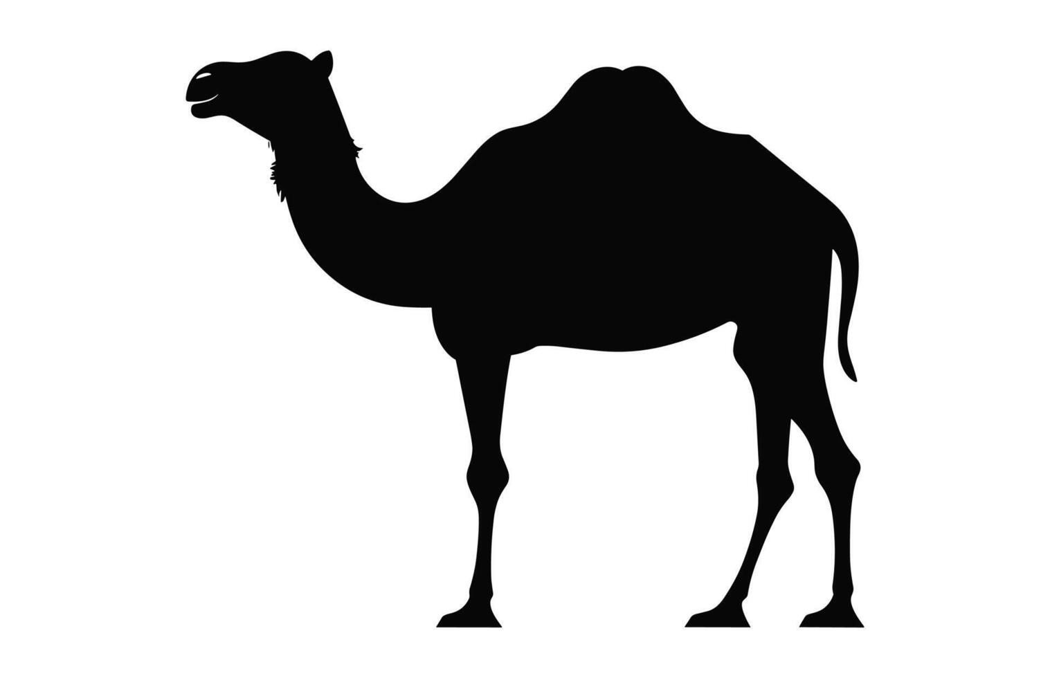 Camel black Silhouette vector isolated on a white background