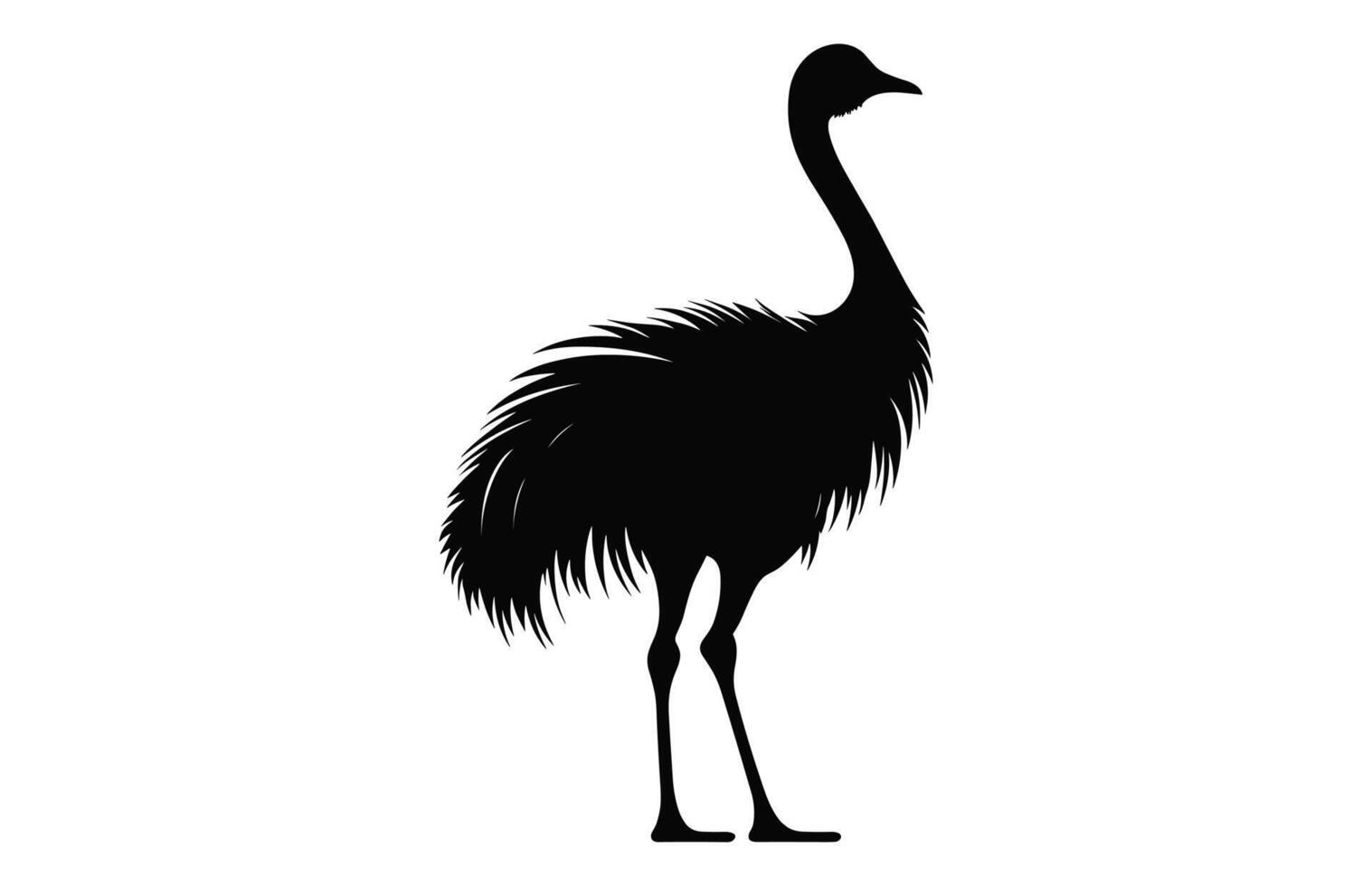 Emu Silhouette isolated on a white background, A Ostrich emu black silhouette, Australian Emu Bird Vector