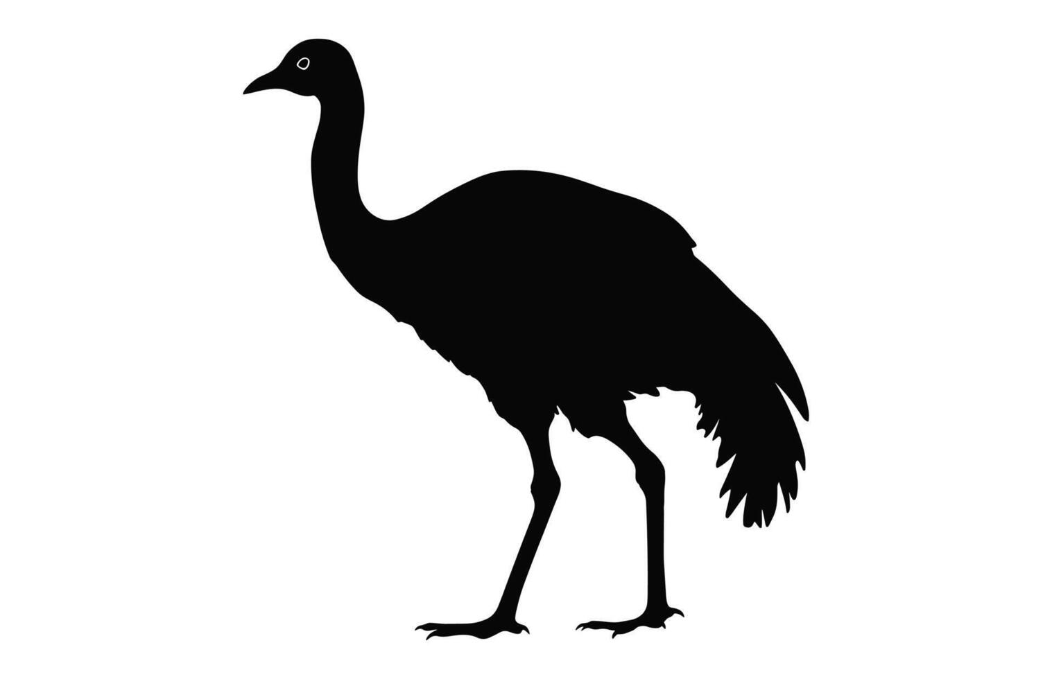 Emu Silhouette isolated on a white background, A Ostrich emu black silhouette, Australian Emu Bird Vector