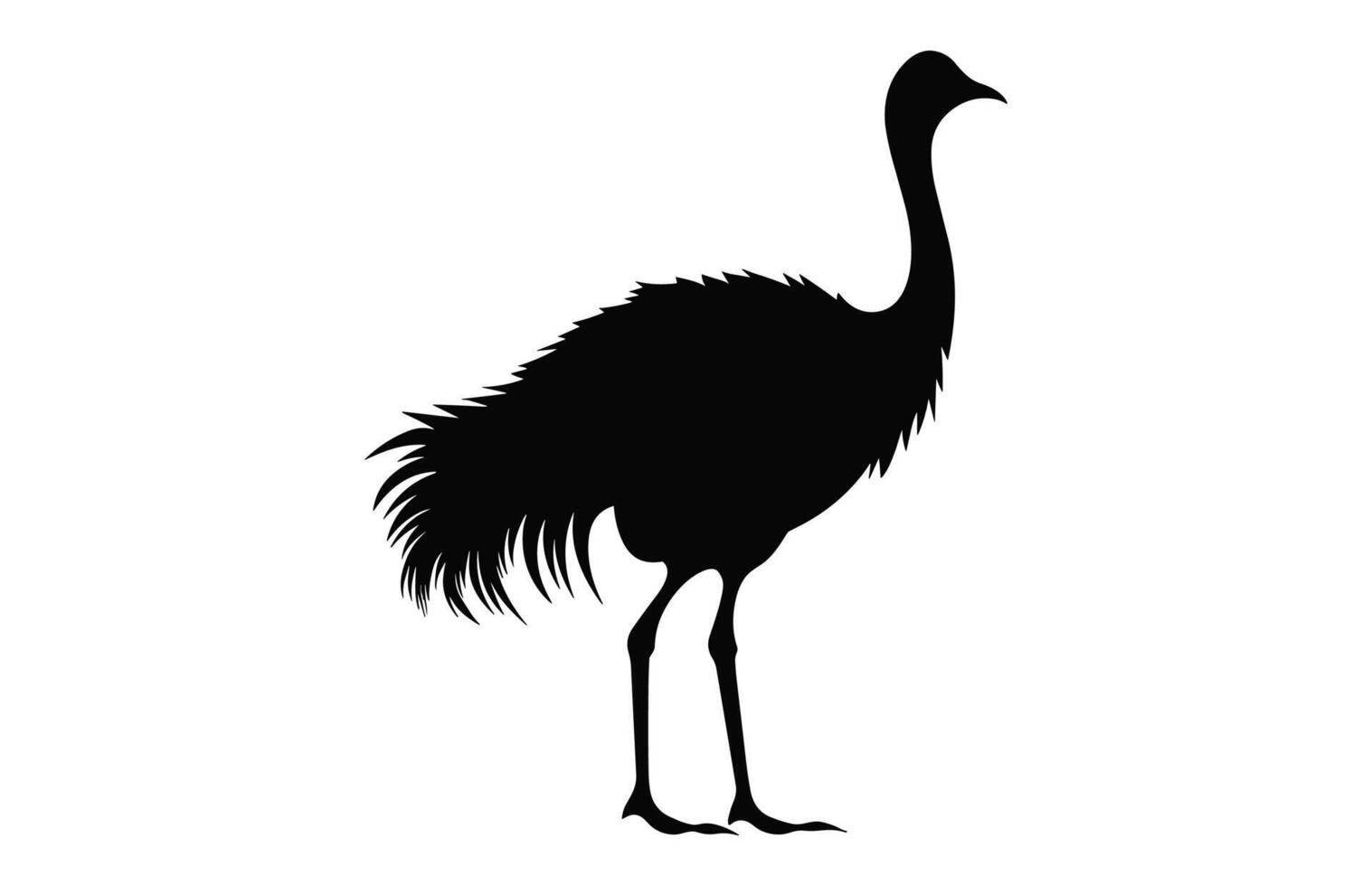 Emu Silhouette isolated on a white background, A Ostrich emu black silhouette, Australian Emu Bird Vector