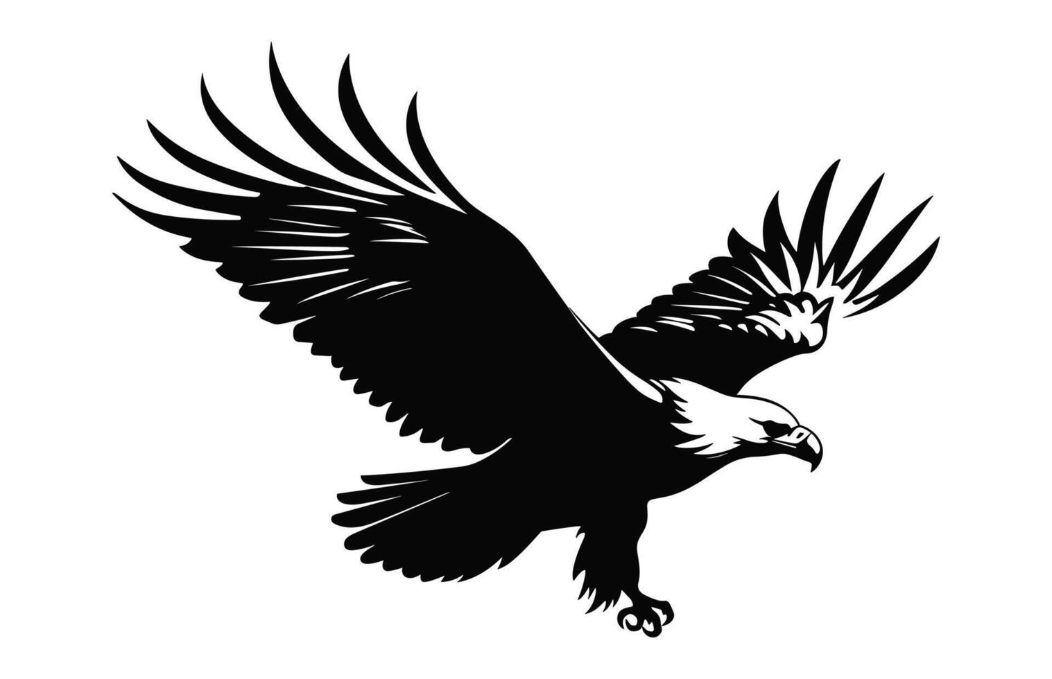 Flying Bald Eagle black and white Silhouette vector, A Bald Eagle black Silhouette Vector isolated on a white background