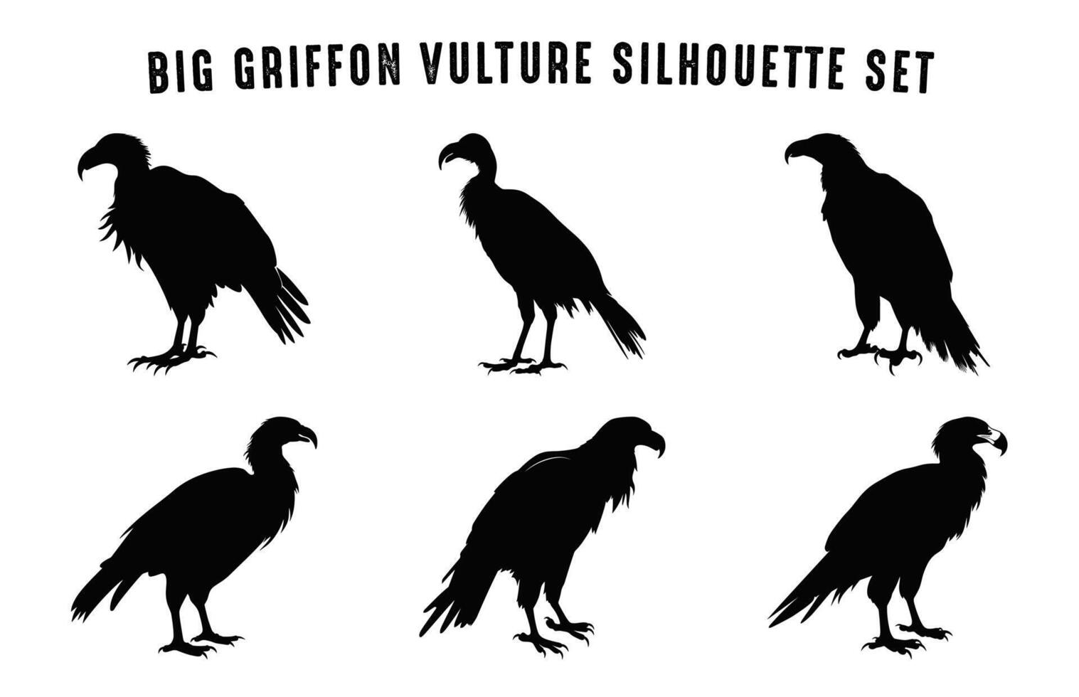 Big Griffon Vulture Silhouette Vector Bundle, Flying Vulture Beak black silhouettes Set