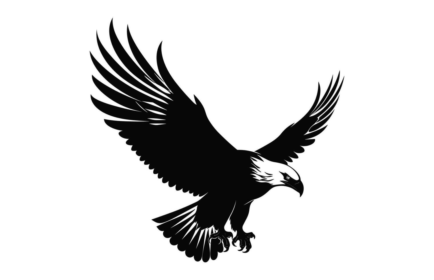 Flying Bald Eagle black and white Silhouette vector, A Bald Eagle black Silhouette Vector isolated on a white background