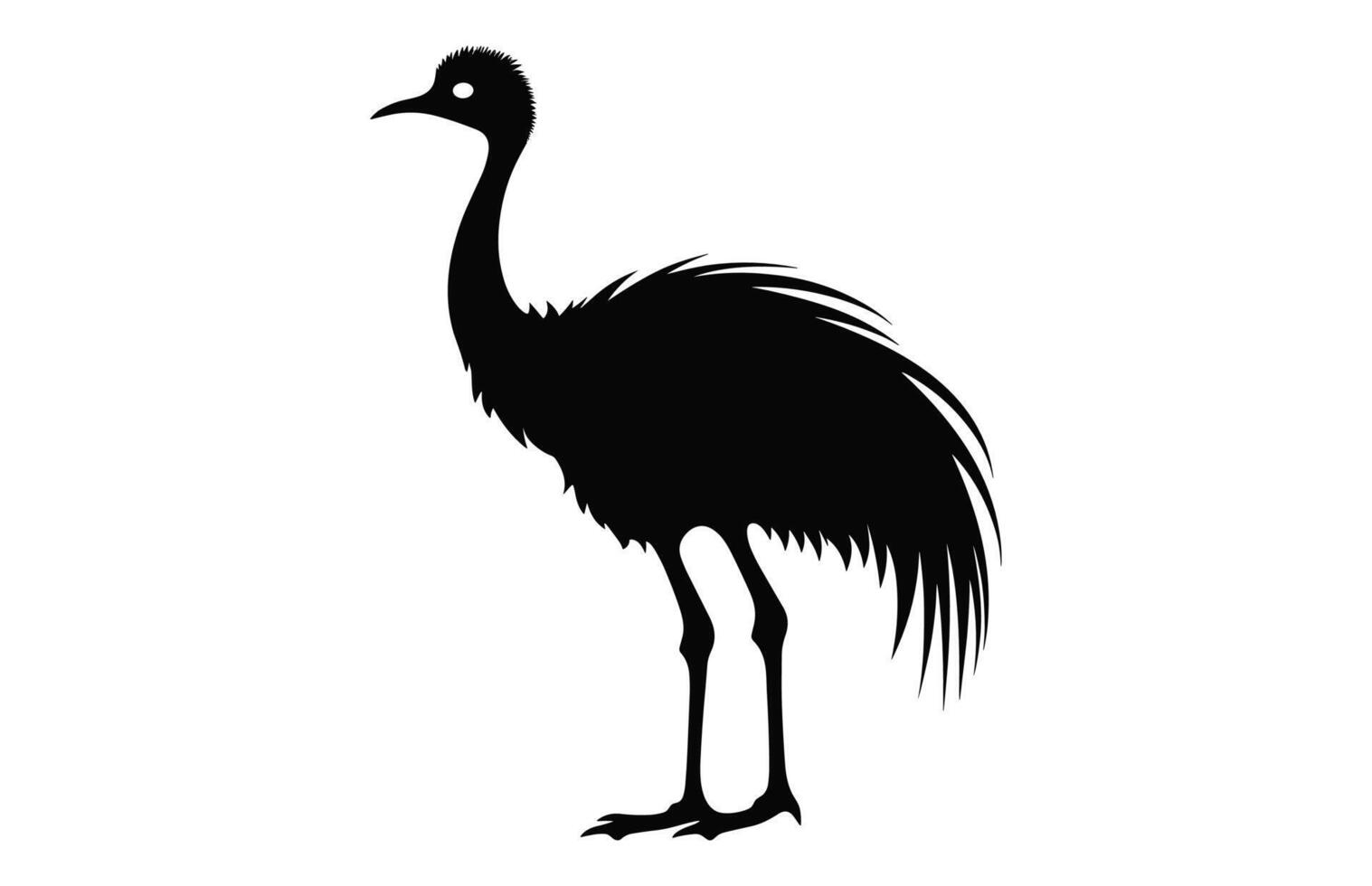 Emu Silhouette isolated on a white background, A Ostrich emu black silhouette, Australian Emu Bird Vector