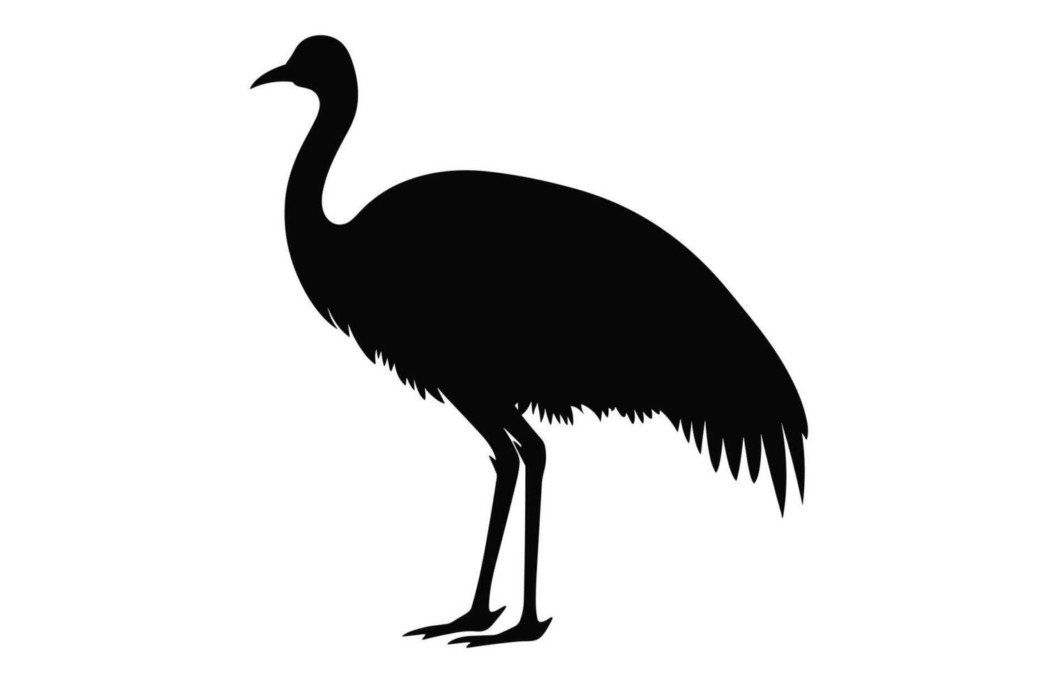 Emu Silhouette isolated on a white background, A Ostrich emu black silhouette, Australian Emu Bird Vector