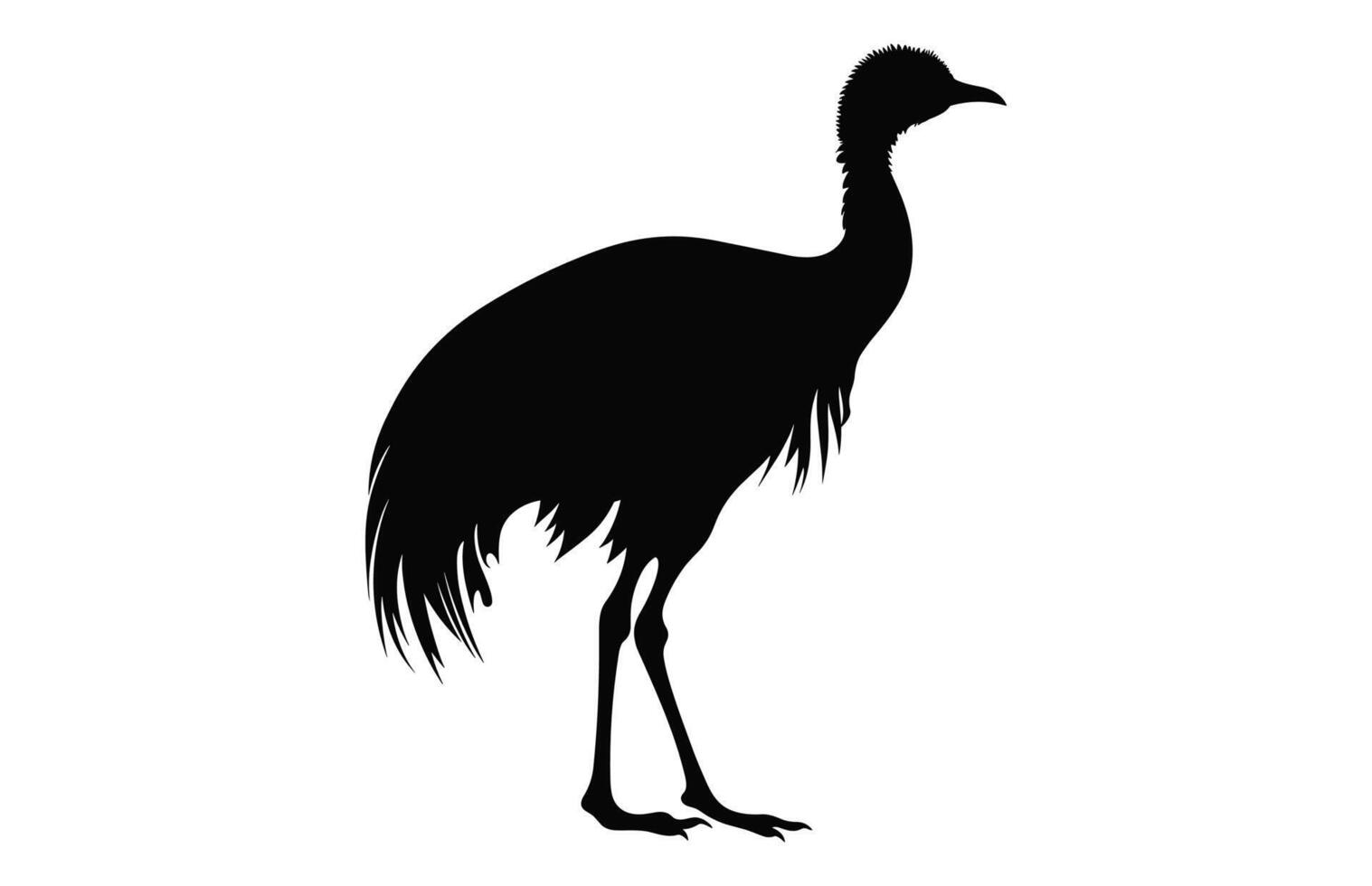 Emu Silhouette isolated on a white background, A Ostrich emu black silhouette, Australian Emu Bird Vector