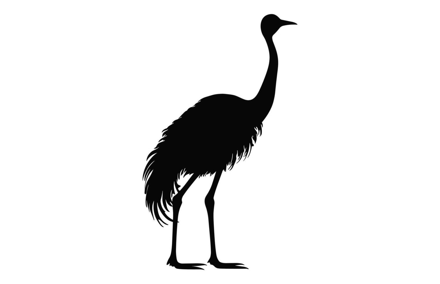 emú silueta aislado en un blanco fondo, un avestruz emú negro silueta, australiano emú pájaro vector