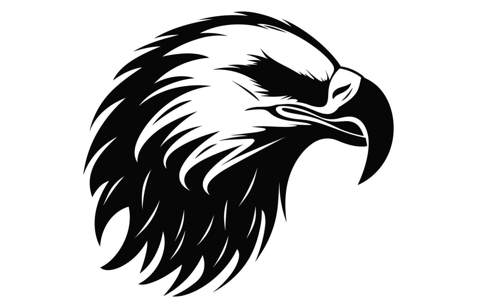 Flying Bald Eagle black and white Silhouette vector, A Bald Eagle black Silhouette Vector isolated on a white background