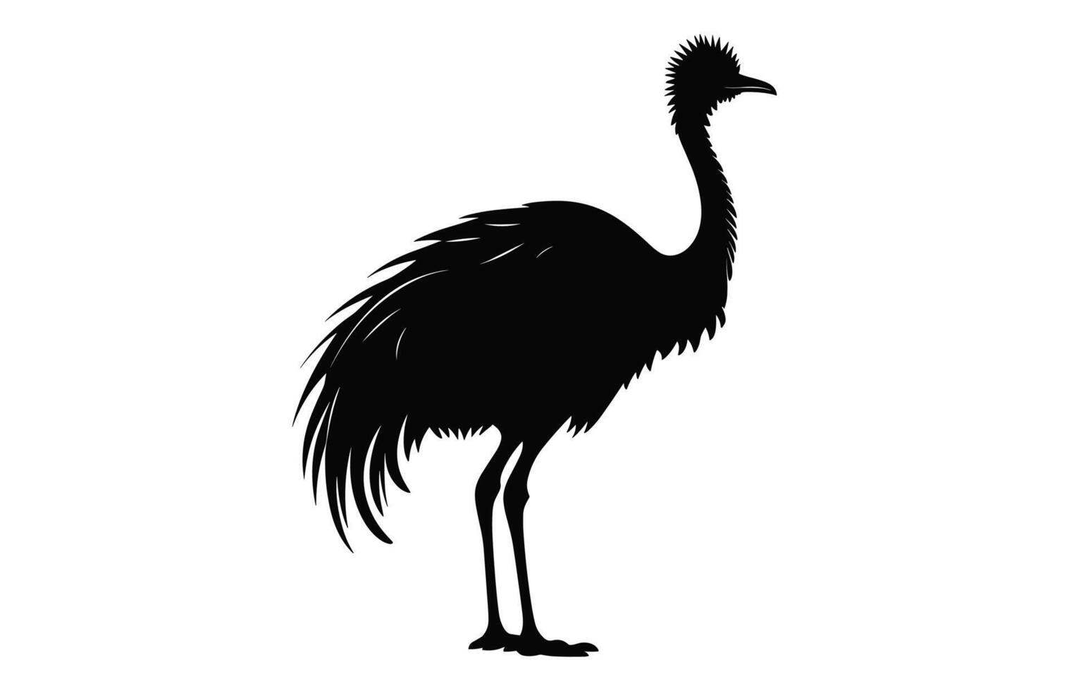 Emu Silhouette isolated on a white background, A Ostrich emu black silhouette, Australian Emu Bird Vector