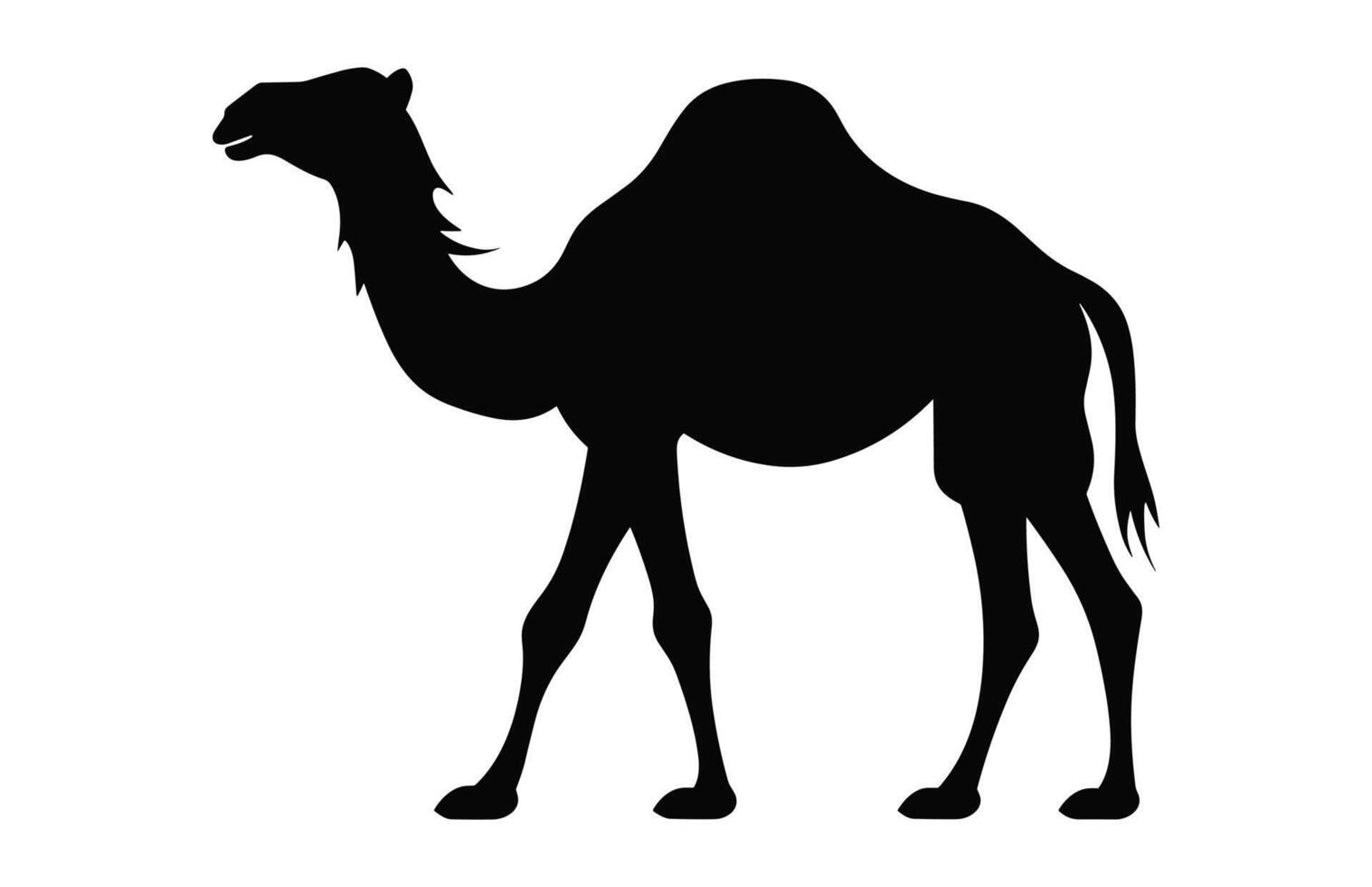 Camel Silhouette black vector isolated on a white background