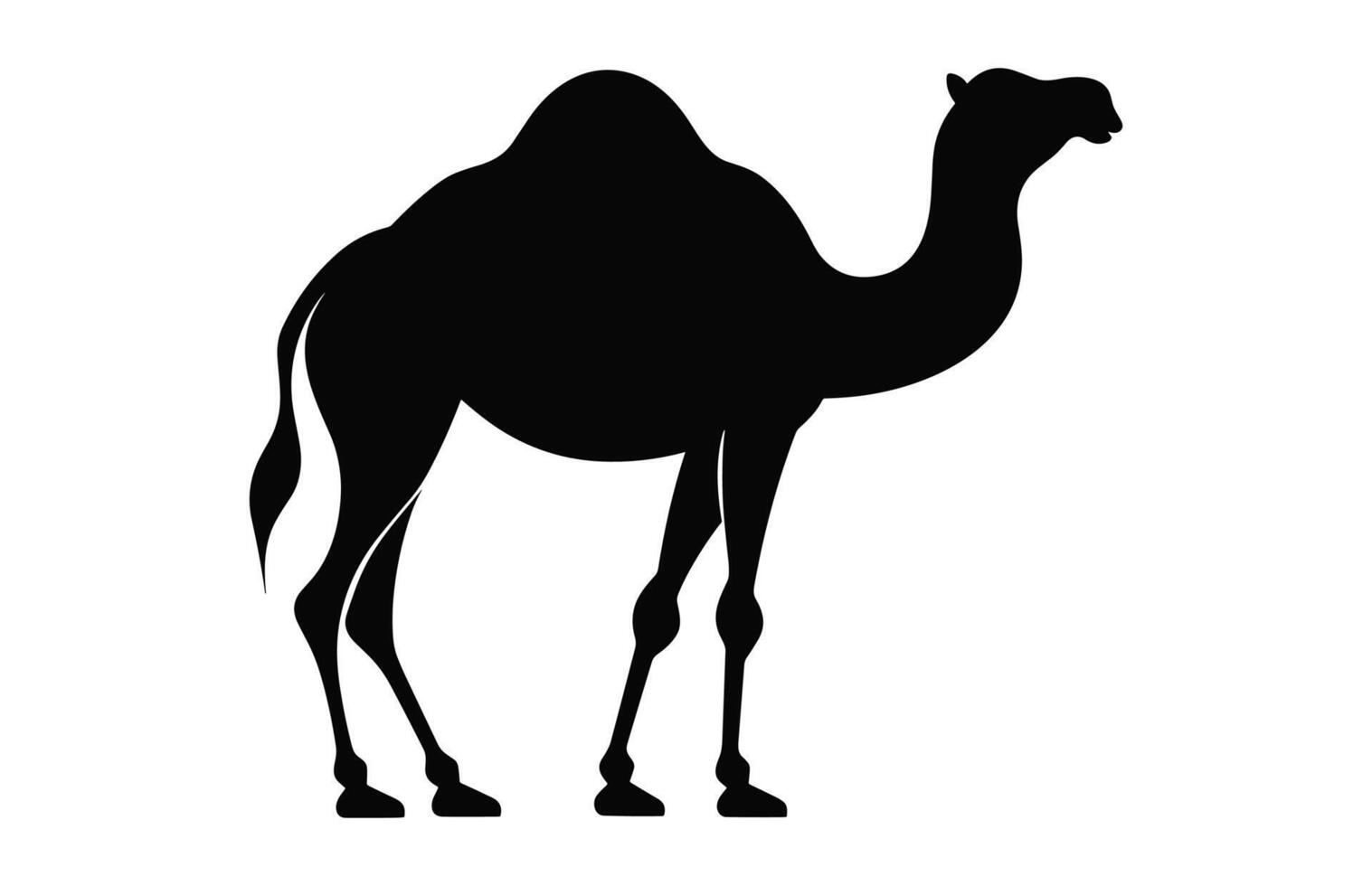 Camel Silhouette black vector isolated on a white background