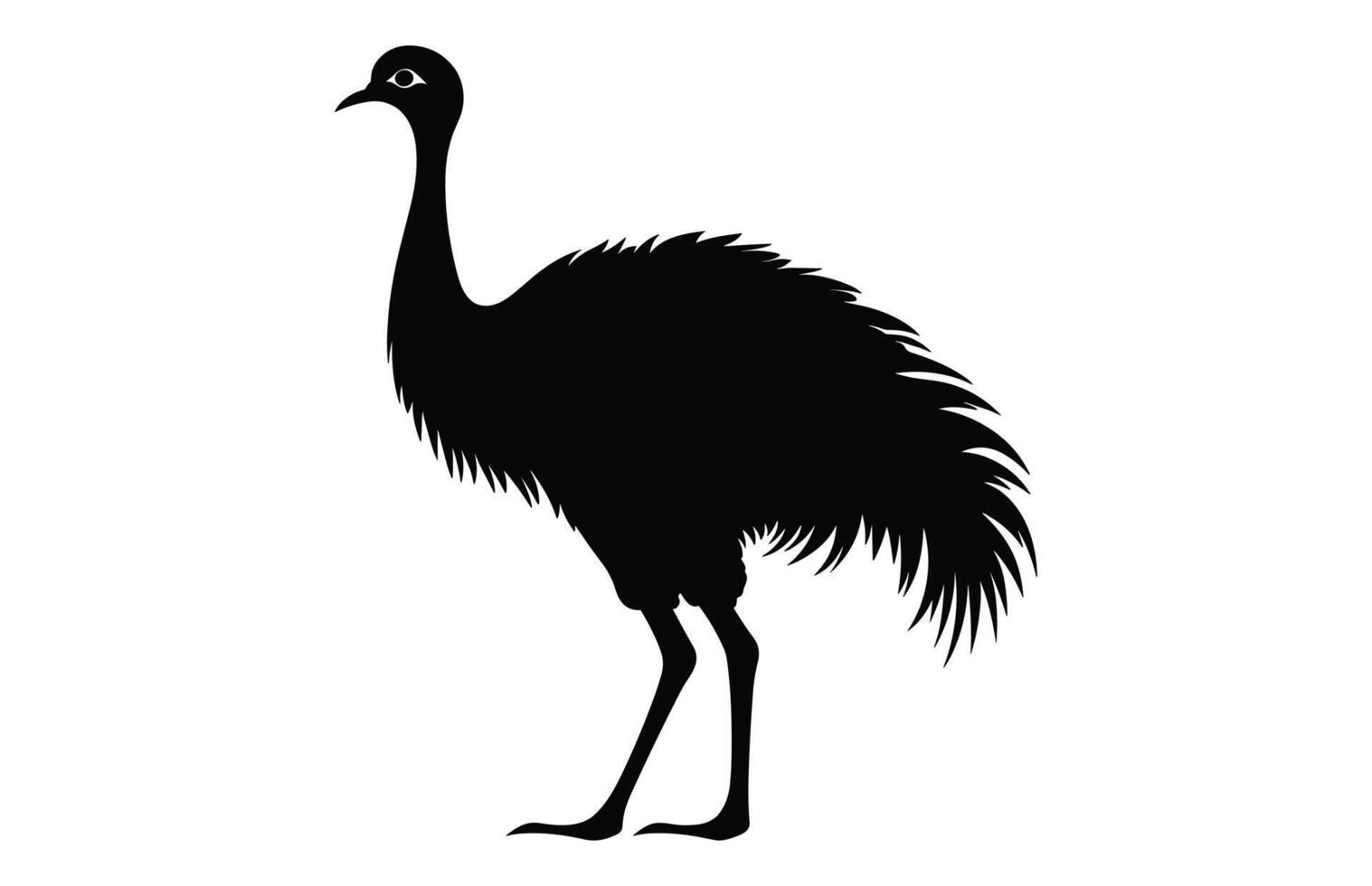 Emu Silhouette isolated on a white background, A Ostrich emu black silhouette, Australian Emu Bird Vector