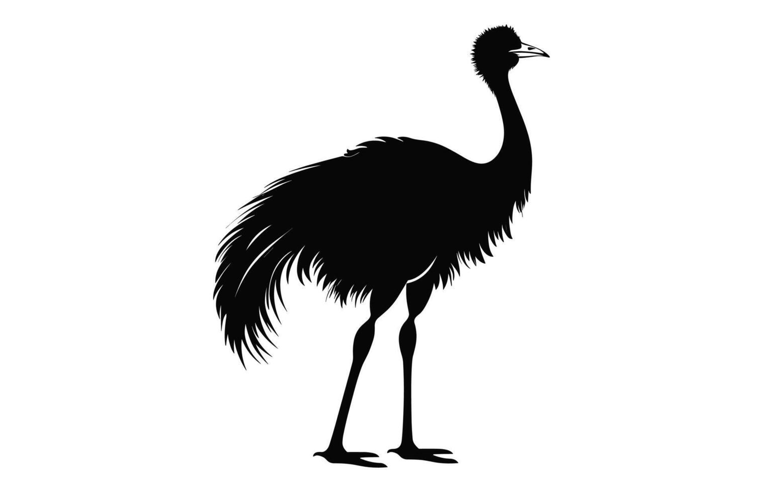 Emu Silhouette isolated on a white background, A Ostrich emu black silhouette, Australian Emu Bird Vector