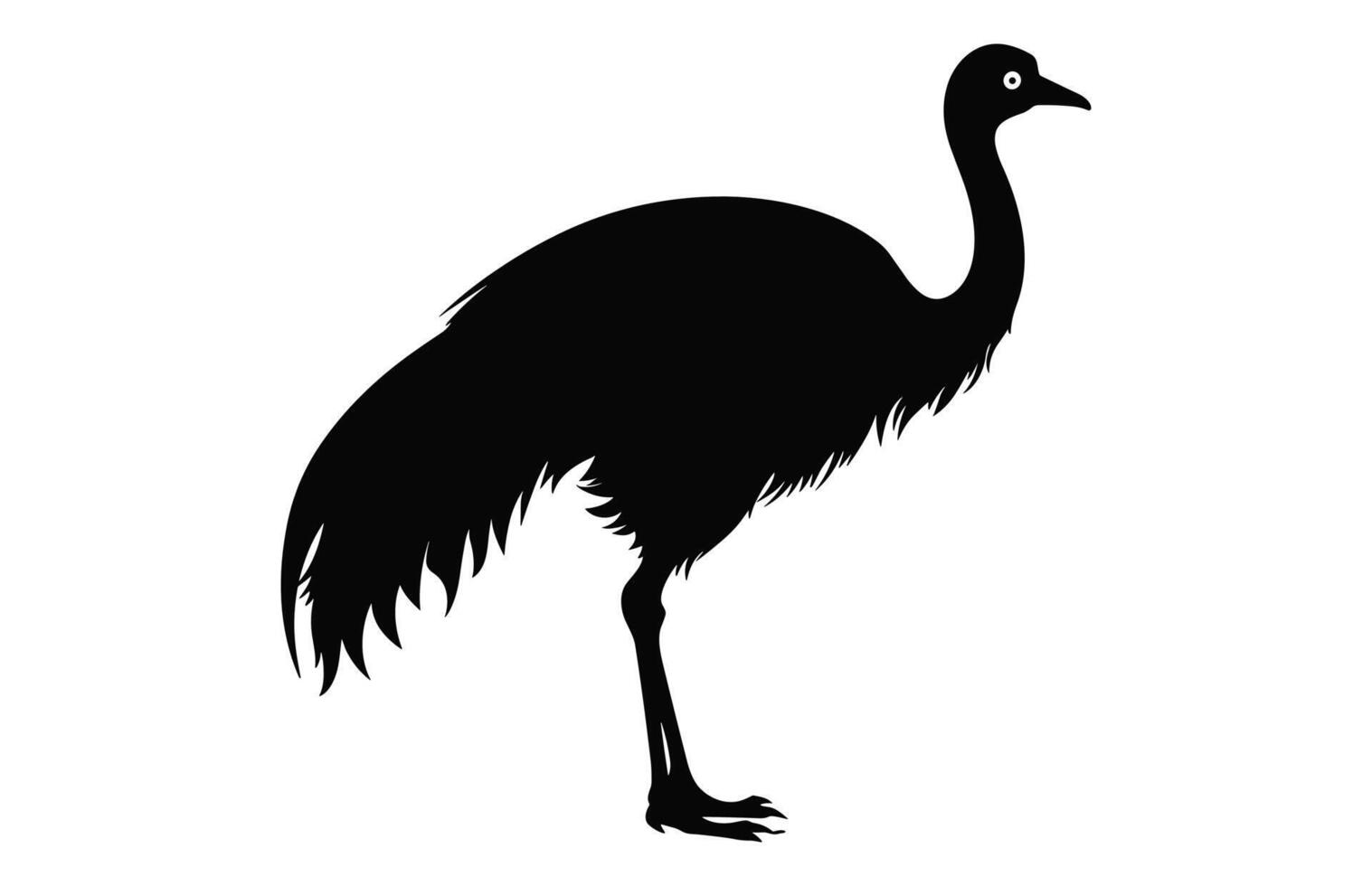 Emu Silhouette isolated on a white background, A Ostrich emu black silhouette, Australian Emu Bird Vector