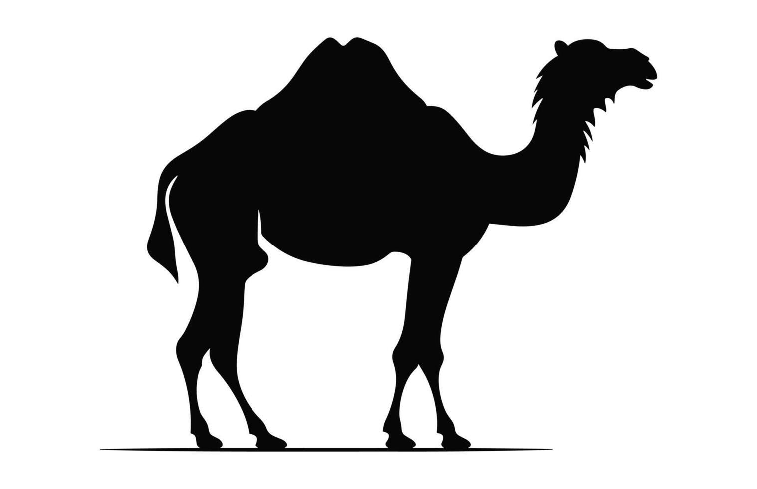 Camel Silhouette vector black clipart isolated on a white background
