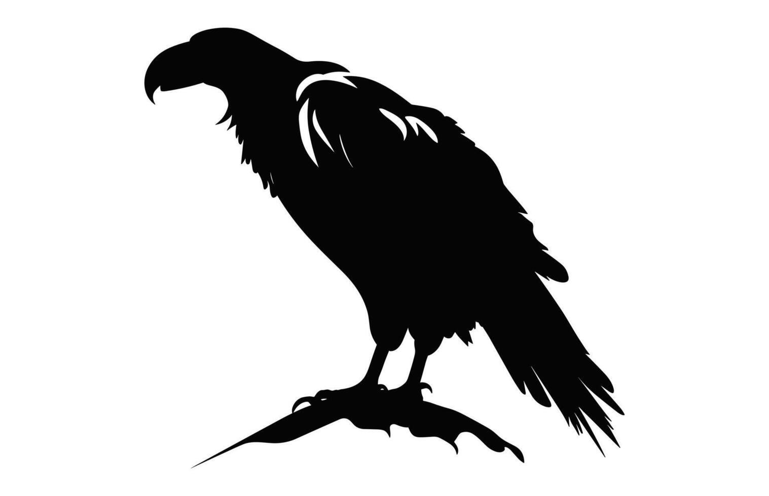 Big Griffon Vulture silhouette isolated on a white background, A Flying Griffon Vulture Beak black vector