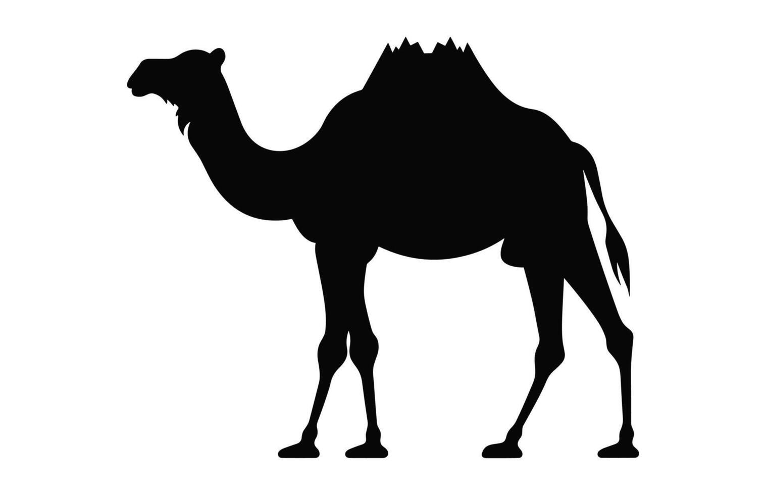 Camel black Silhouette vector isolated on a white background