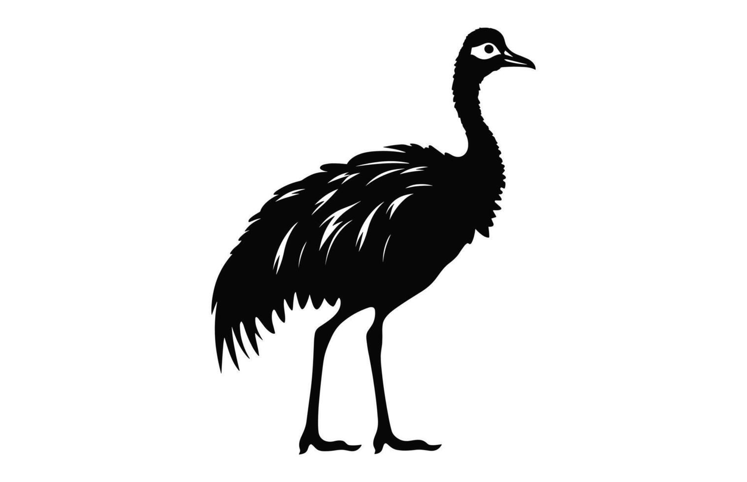 Emu Silhouette isolated on a white background, A Ostrich emu black silhouette, Australian Emu Bird Vector