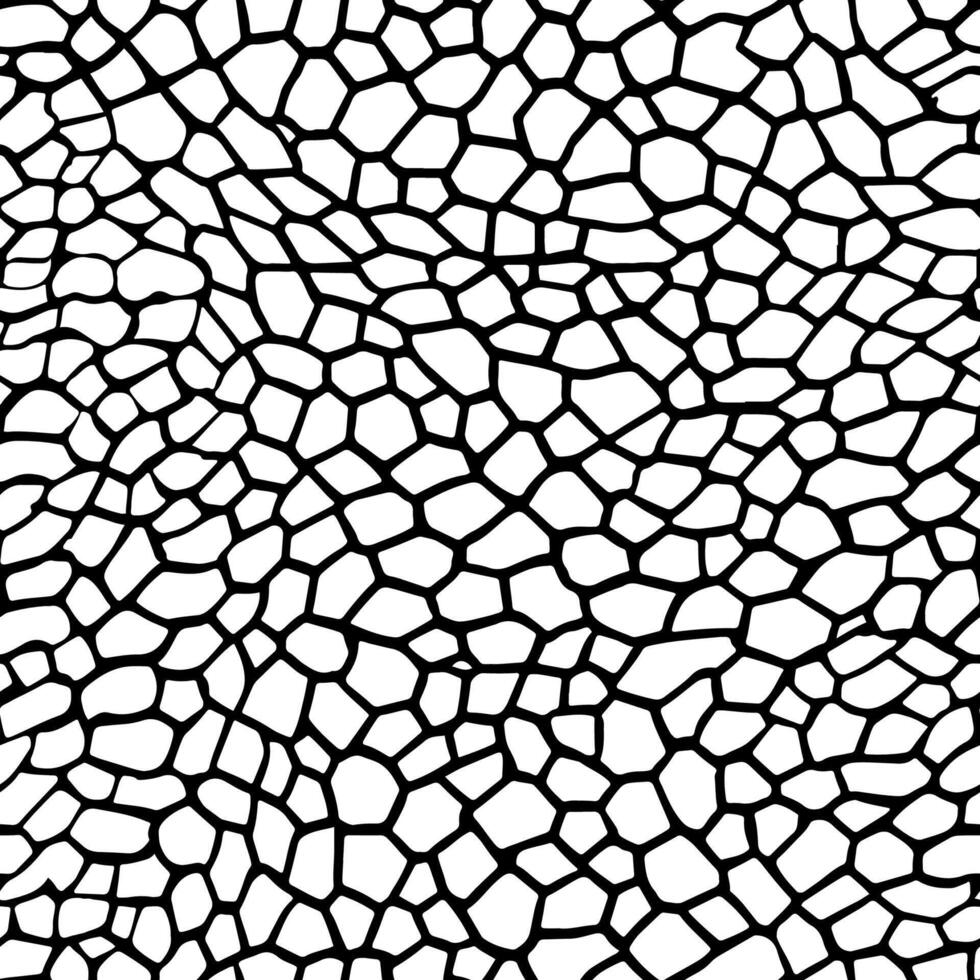 Reptile skin, Seamless animal crocodile pattern for design vector