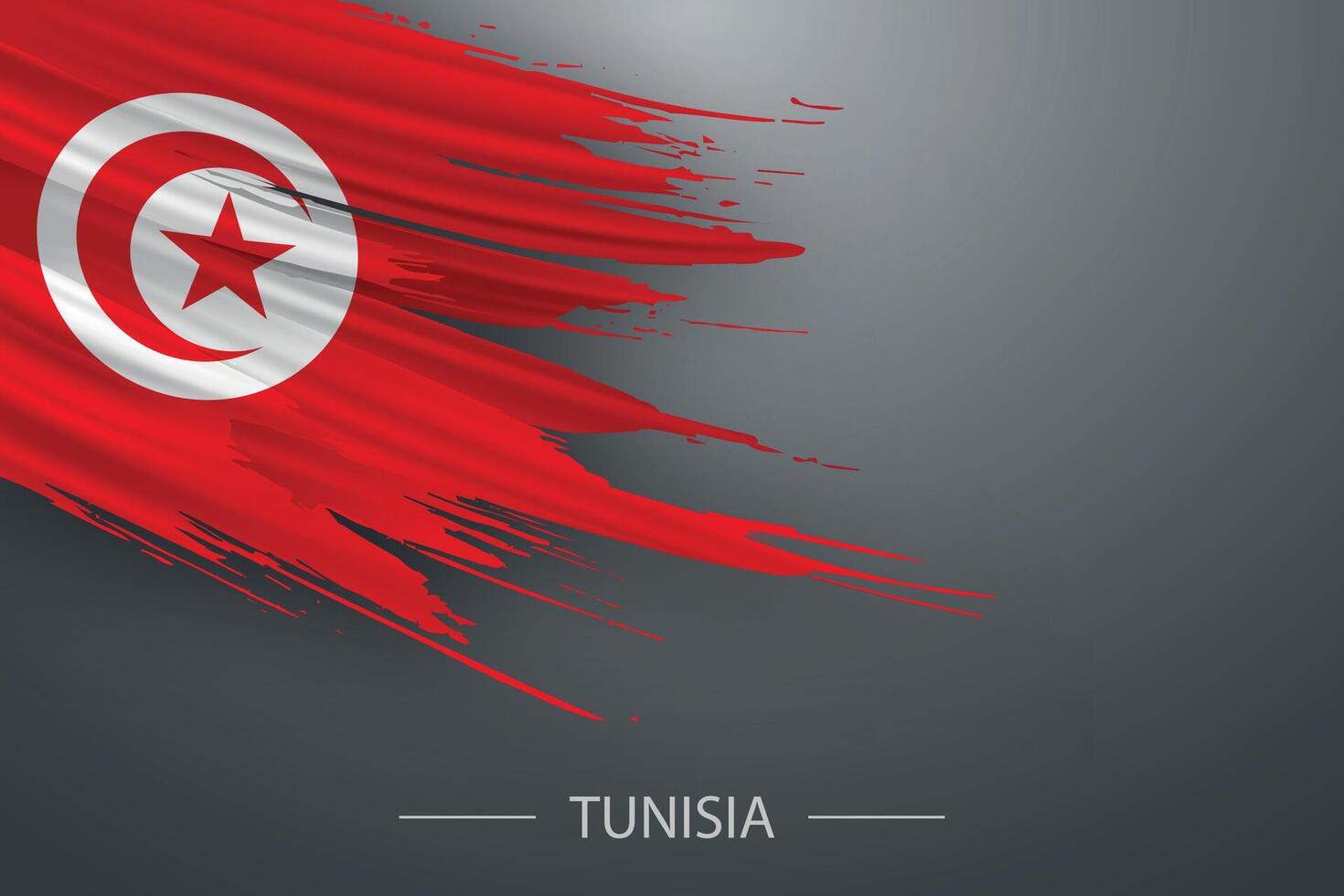 3d grunge brush stroke flag of Tunisia vector