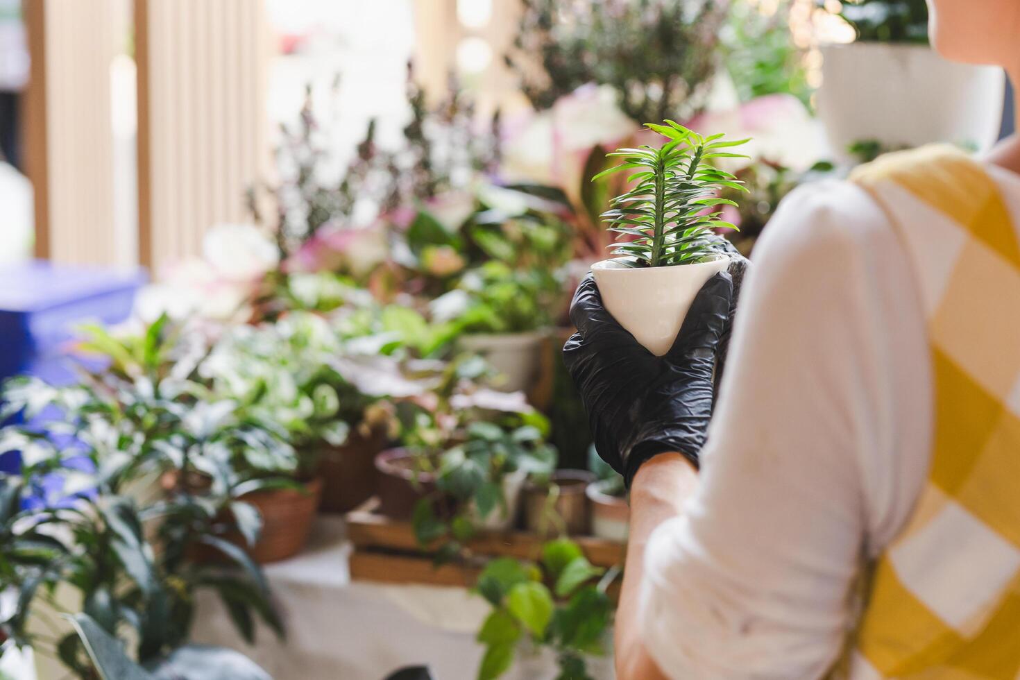 Cropped shot of unrecognizable woman holding potted flower plant in garden shop. photo