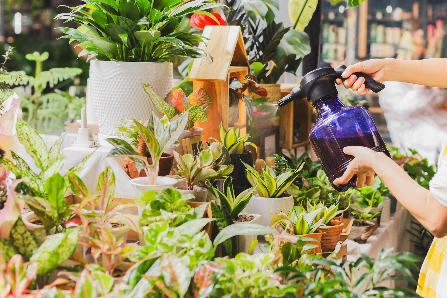 mujer pulverización planta mientras trabajando en el plantas almacenar. foto