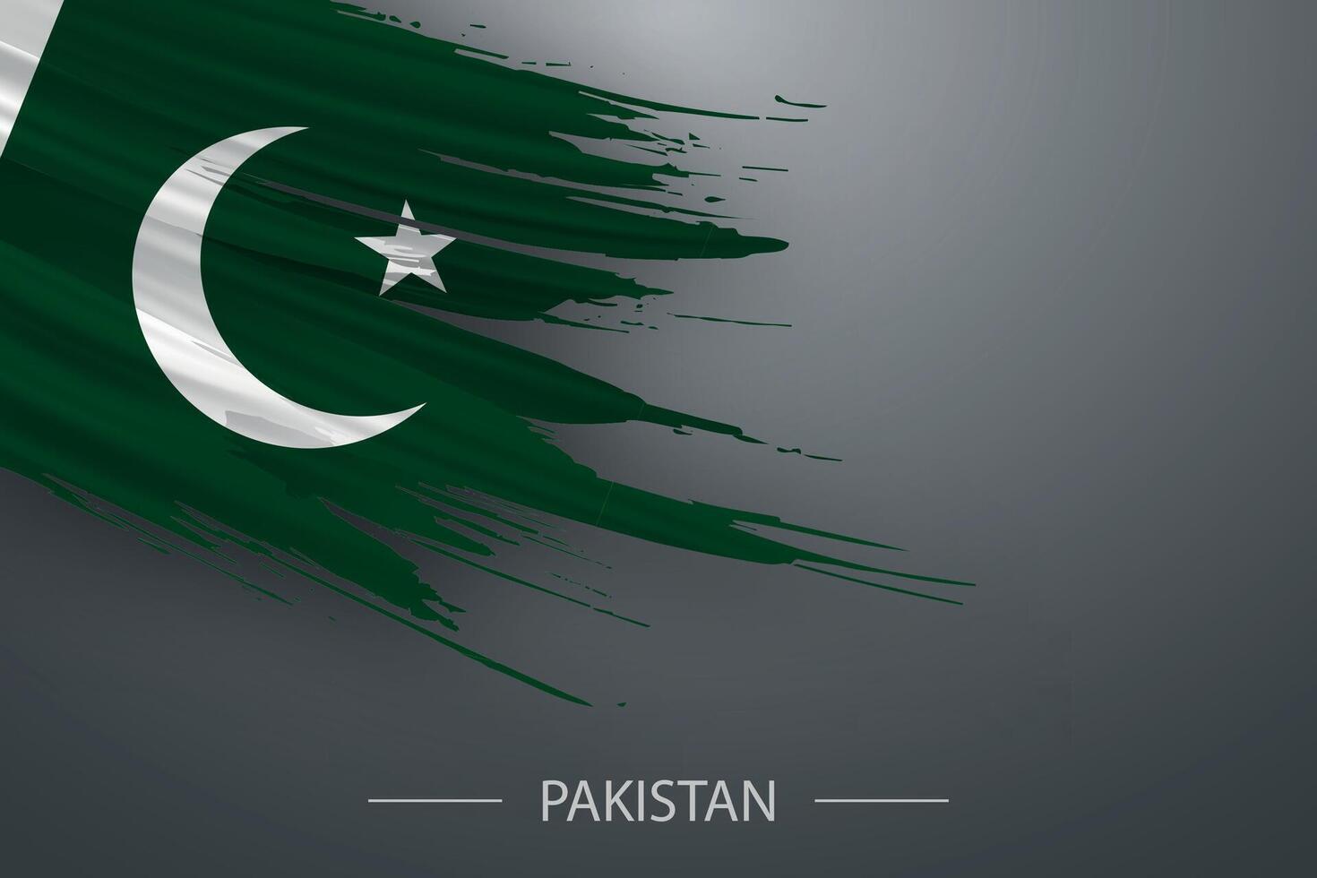 3d grunge brush stroke flag of Pakistan vector