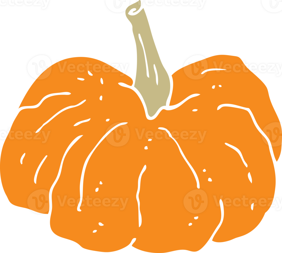 flat color style cartoon squash png