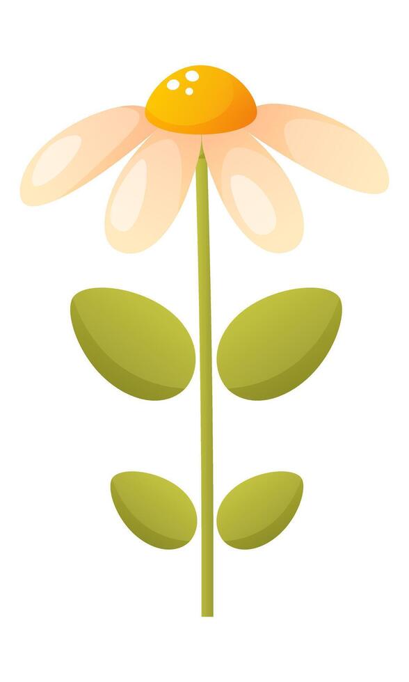 One white delicate chamomile flower. Spring, summer flowering, floral design, garden ornamental plant. Flower vector clipart suitable for stickers, scrapbooking, cards, poster, banner.