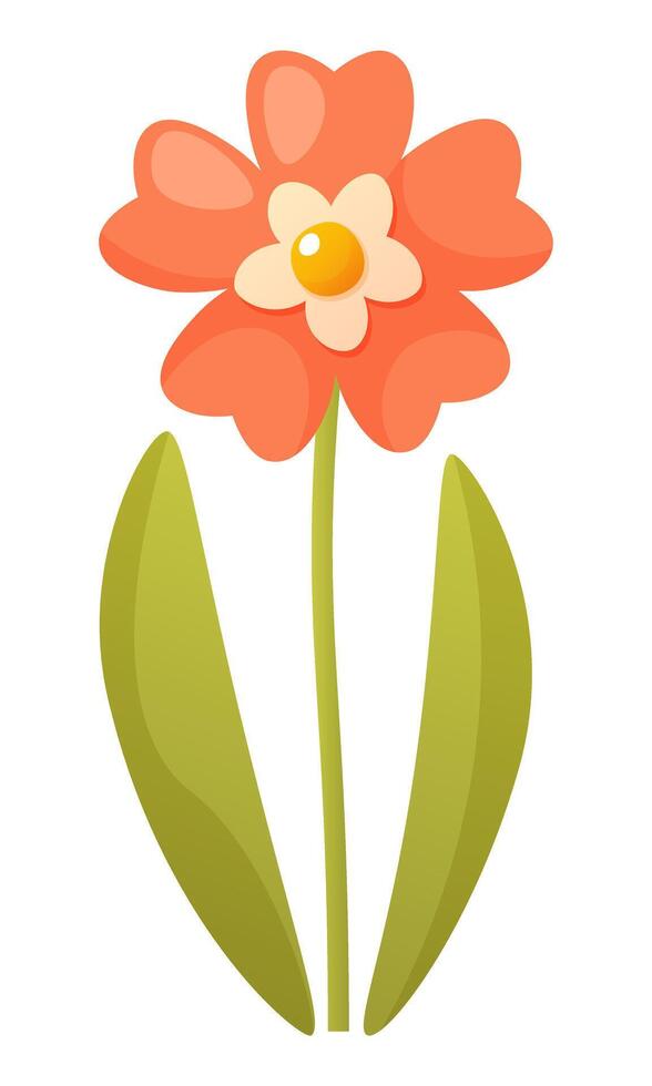 One beautiful red and pink flower on a stem with green leaves on a white background. Summer and spring flowering. Vector illustration. Flower clip art for design of posters, cards, logo, label, print.