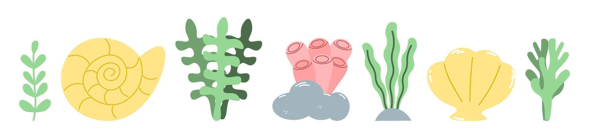 un conjunto de conchas marinas y corales, algas. plano vector ilustración