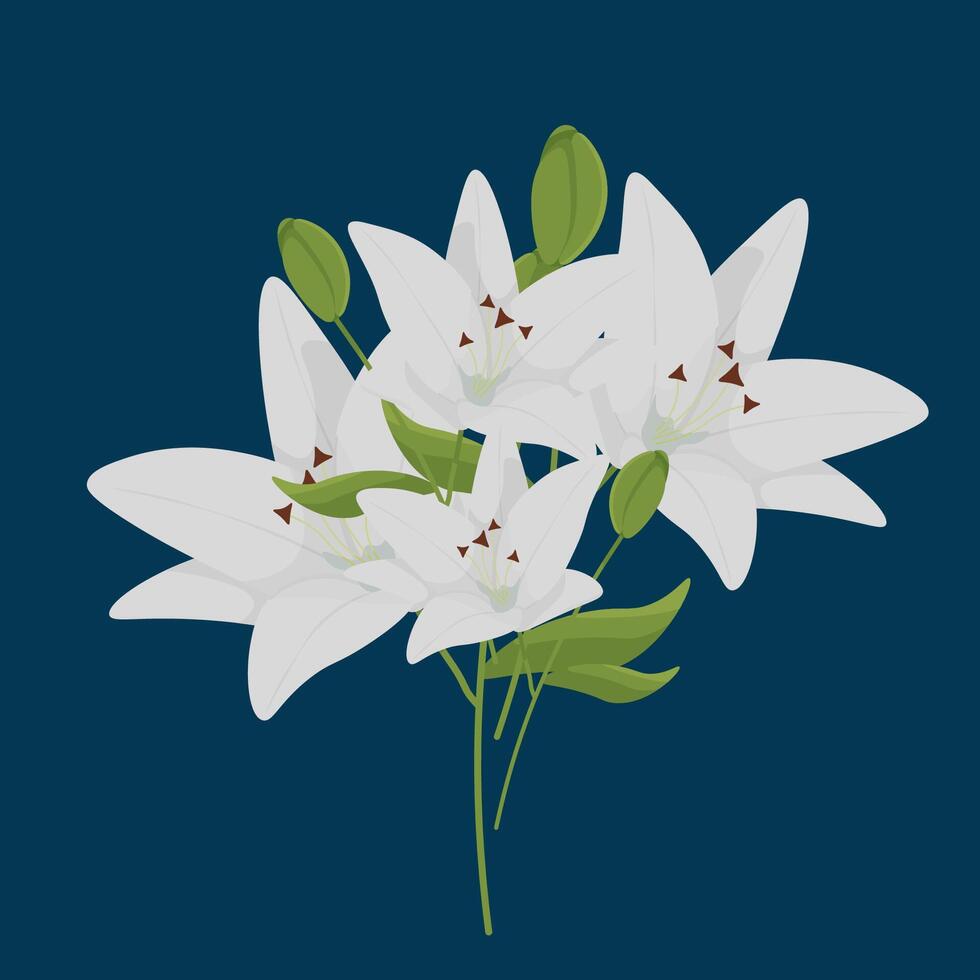 white lilies on a blue background. a sample postcard. vector illustration