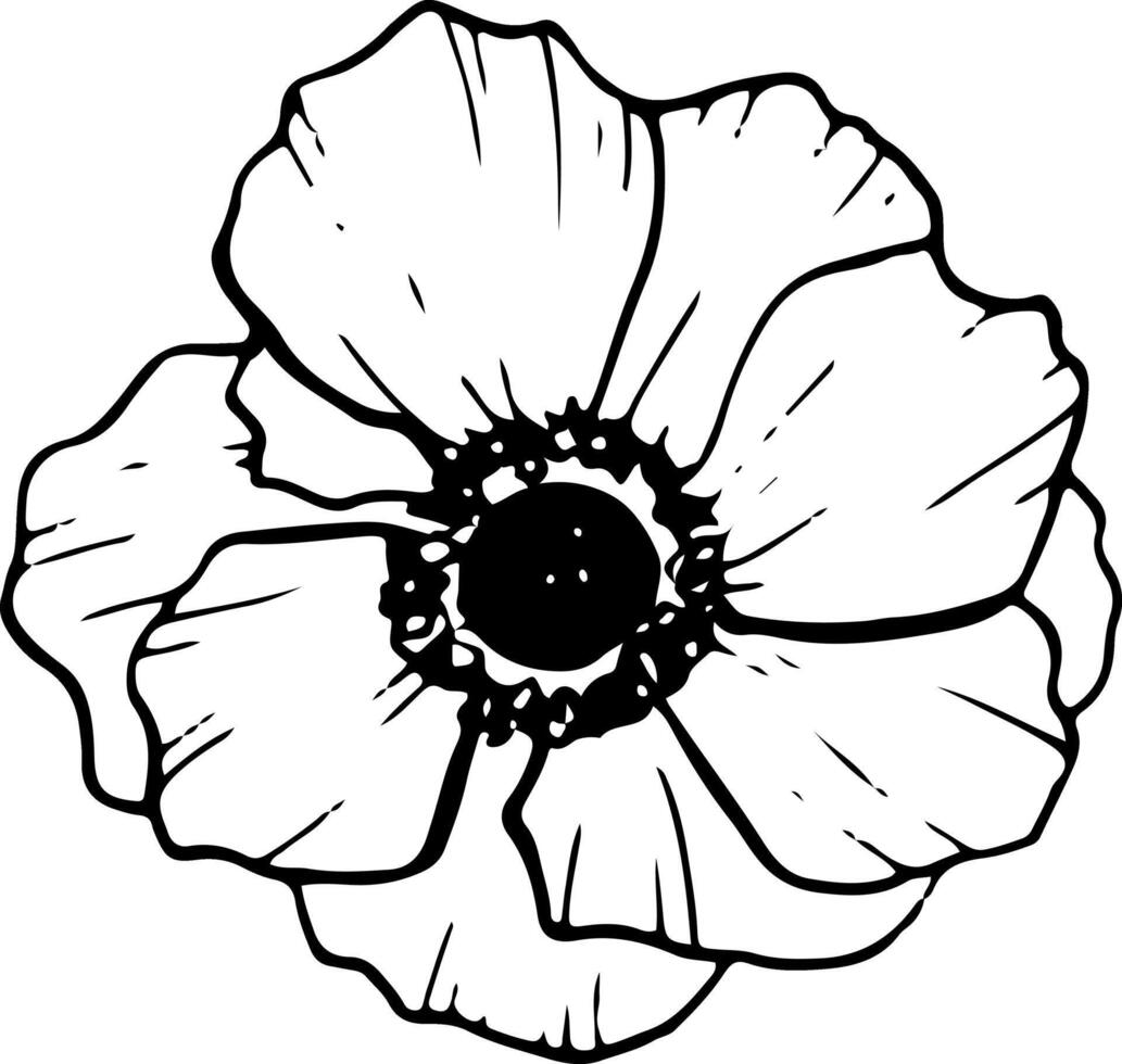 Beautiful anemone flower vector illustration. Wildflower poppy for coloring pages, stylish floral designs, greeting cards and wedding invitation with hand drawn graphic black and white element