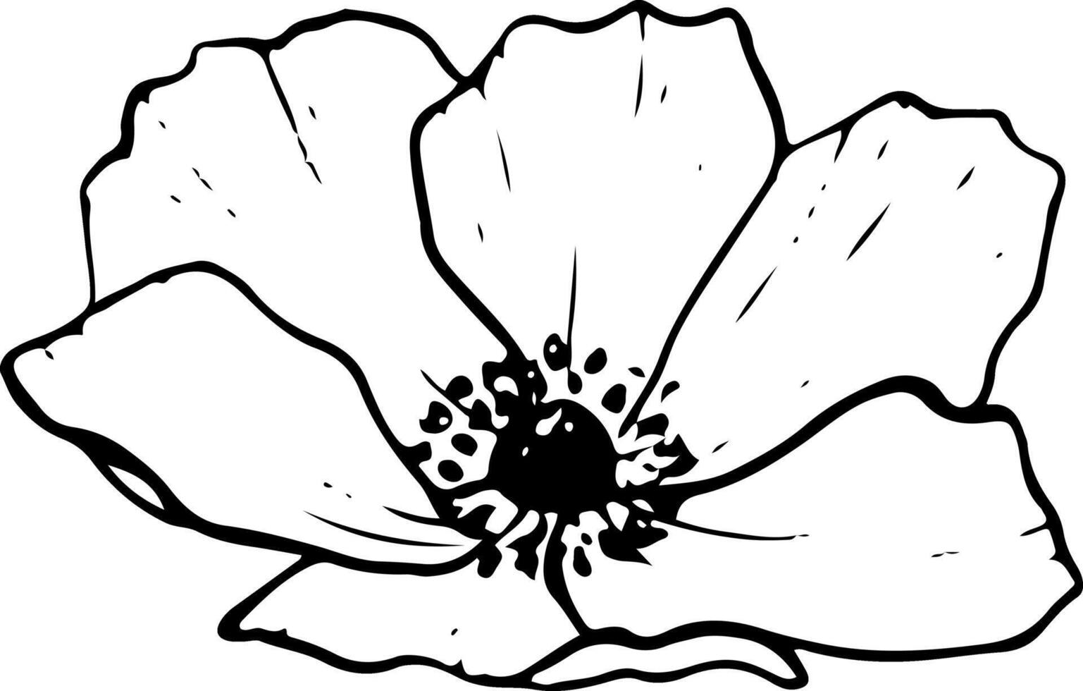 Anemone spring flower vector black and white illustration. Field poppy, side view, for greeting cards, coloring pages and wedding designs