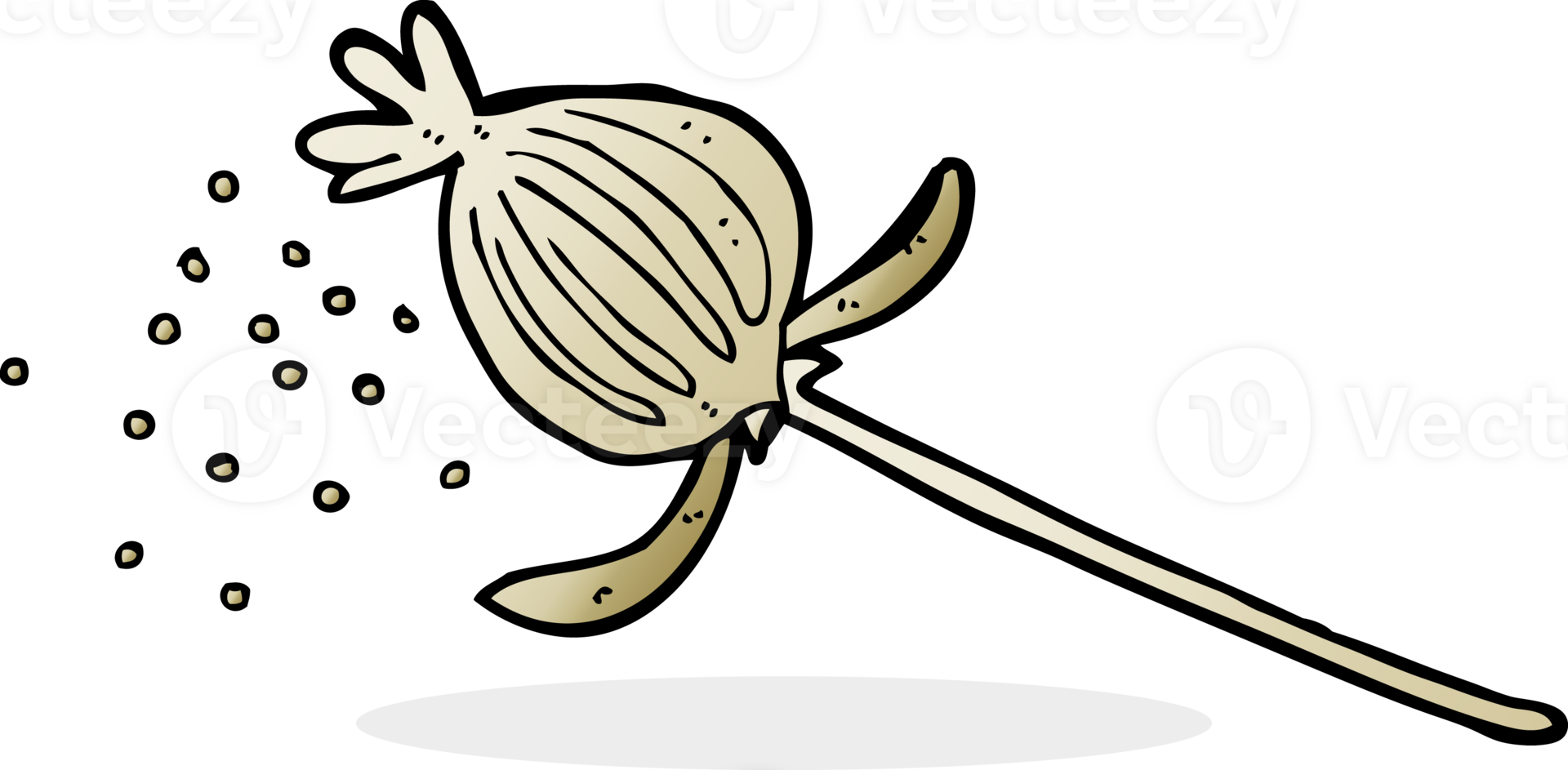 cartoon dried poppy flower png