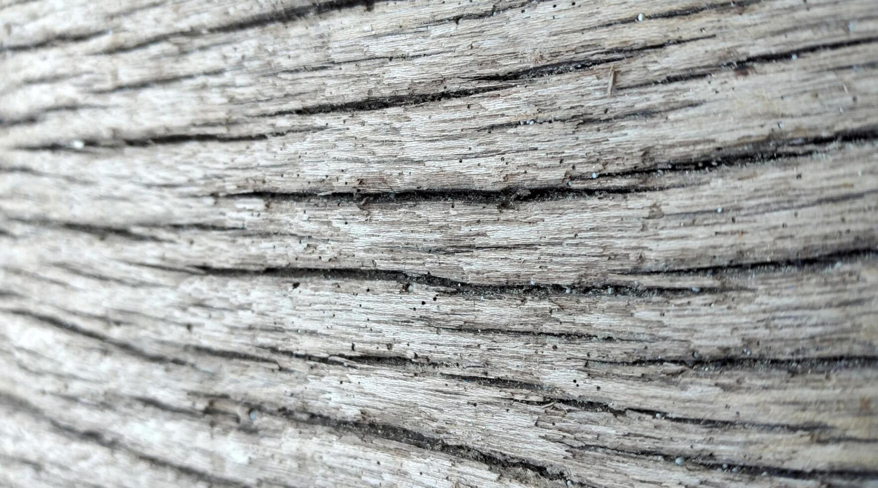Old wood texture background surface with old natural pattern or old wood texture table top view. photo