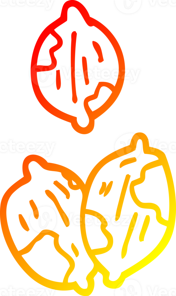 warm gradient line drawing of a cartoon nuts in shells png