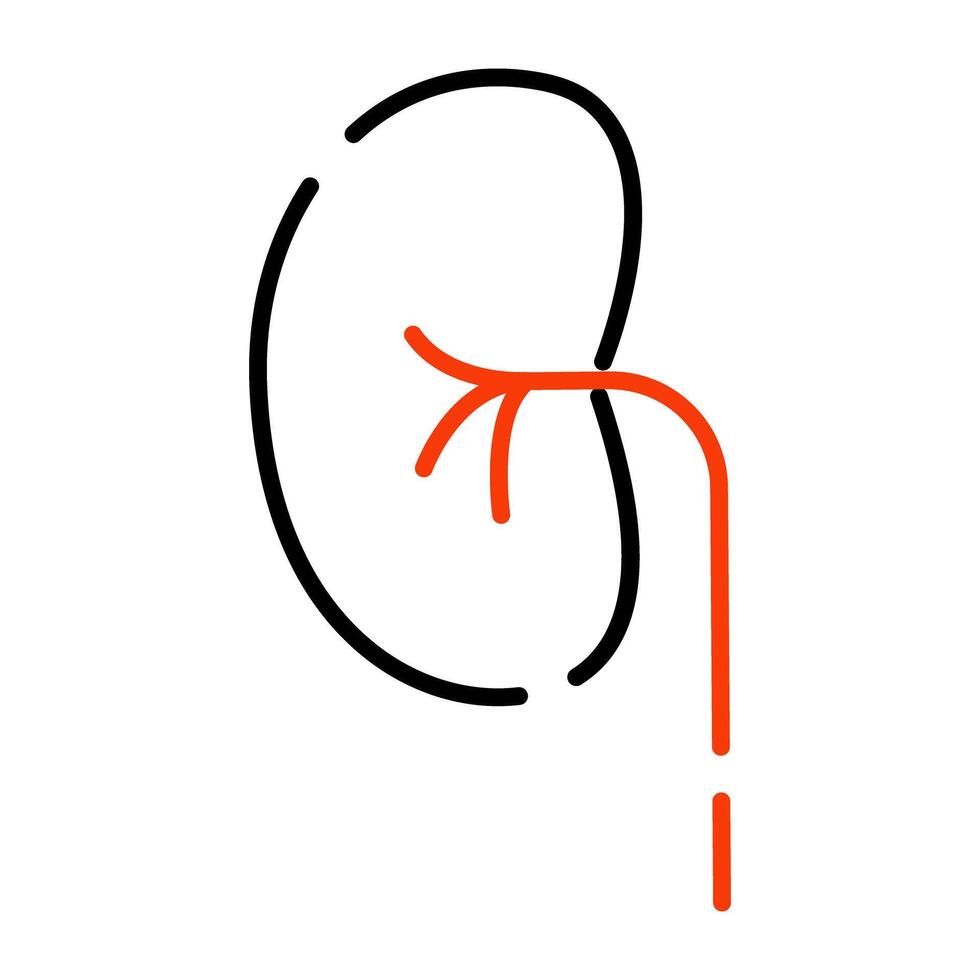 Kidney icon in editable style vector