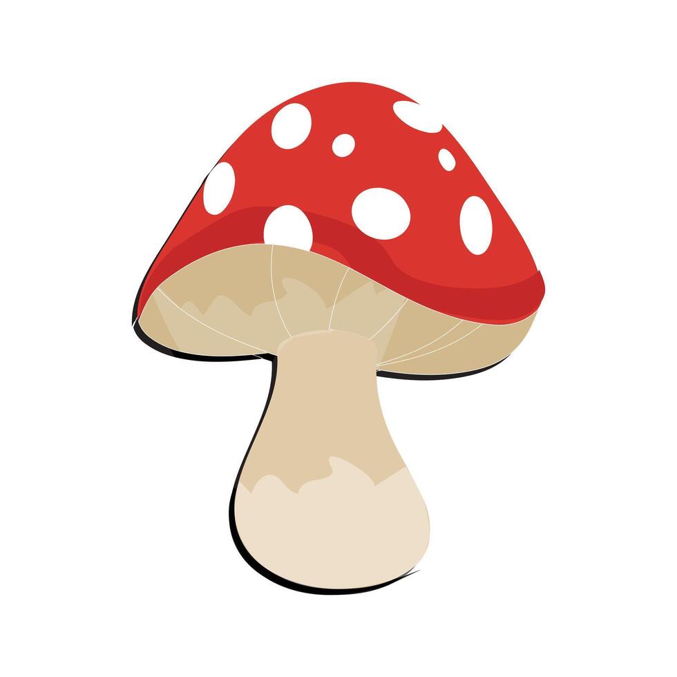 seta plano diseño dibujos animados diferente hongos vector ilustración, salvaje seta símbolo señales, amanita venenoso. eps 10