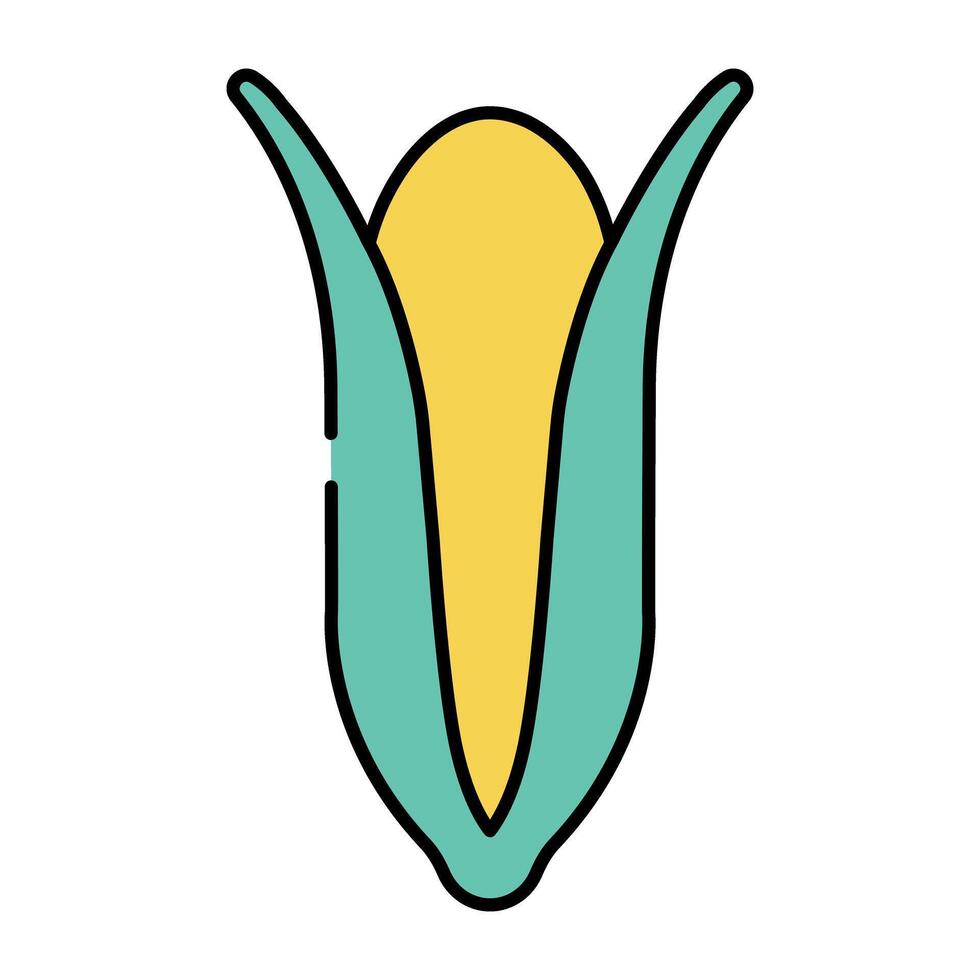 A perfect design icon of corn cob vector