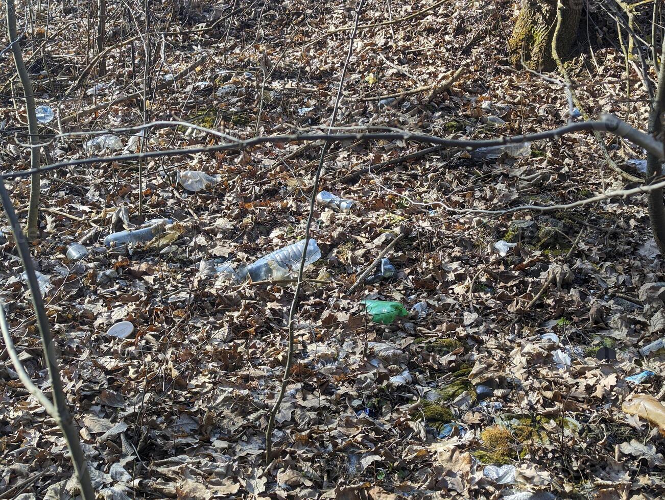 el plastico pantalones y botellas en el suelo en el bosque foto