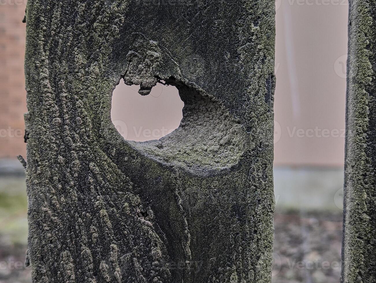 texture of old wooden fence with hole, background, grunge photo